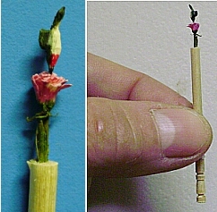 hand carved hummingbird and flower toothpick